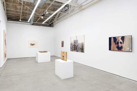 Uri Aran, House, Matthew Brown, Los Angeles, 2024. Installation view., (Photo: Paul Salveson)