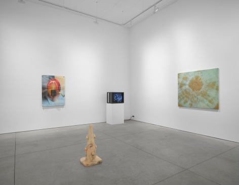 PROGRAM, Matthew Brown, New York, 2024. Installation view., (Photo: Tim Doyon)