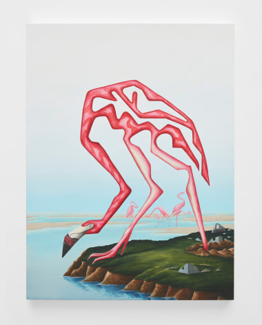 Alejandro Cardenas Andrew&rsquo;s Flamingo (after Audubon), 2019