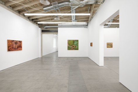 Tomas Leth,&nbsp;The Suns of Half Sleep,&nbsp;Matthew Brown, Los Angeles, 2023. Installation View.&nbsp;