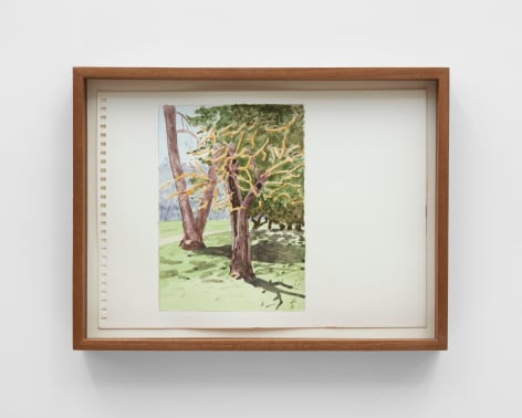 Apple tree, Sheffield, 2020, Watercolor on paper with artist frames