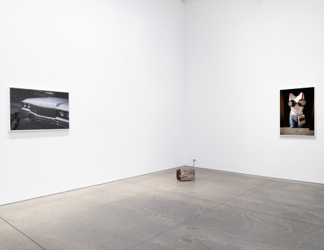 Pippa Garner,&nbsp;Misc. Pippa,&nbsp;Matthew Brown, New York, 2024. Installation view., (Photo: Jason Mandella)