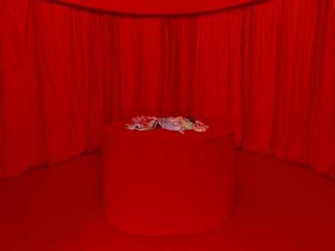 Lila de Magalhaes,&nbsp;Laps of Chrysalis,&nbsp;Matthew Brown, Los Angeles, 2024. Installation view., (Photo: Paul Salveson)