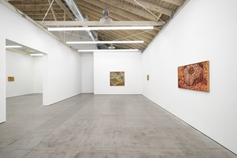 Tomas Leth,&nbsp;The Suns of Half Sleep,&nbsp;Matthew Brown, Los Angeles, 2023. Installation View.&nbsp;