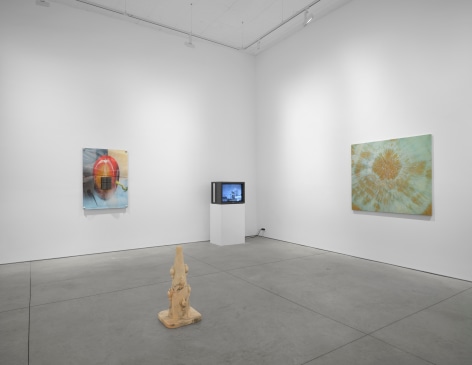 PROGRAM, Matthew Brown, New York, 2024. Installation view., (Photo: Tim Doyon)