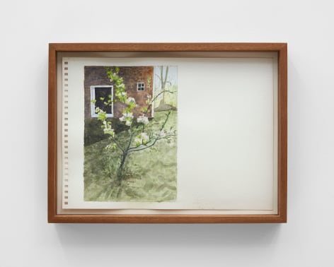 Rob&#039;s tree, The Knoll, 2020, Watercolor on paper with artist frame