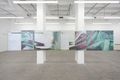 Brett Ginsburg,&nbsp;Cadence,&nbsp;Matthew Brown, Los Angeles, 2024. Installation view., (Photo: Paul Salveson)