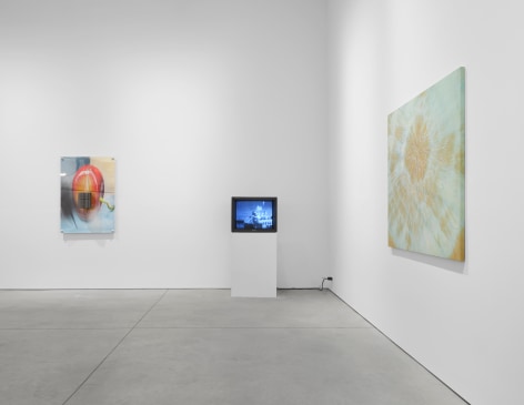 PROGRAM, Matthew Brown, New York, 2024. Installation view., (Photo: Tim Doyon)