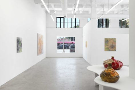 Lila de Magalhaes,&nbsp;Laps of Chrysalis,&nbsp;Matthew Brown, Los Angeles, 2024. Installation view., (Photo: Paul Salveson)