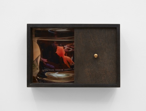 teaching history to a goldfish, 2020, Wood, plexi, brass, archival inkjet print