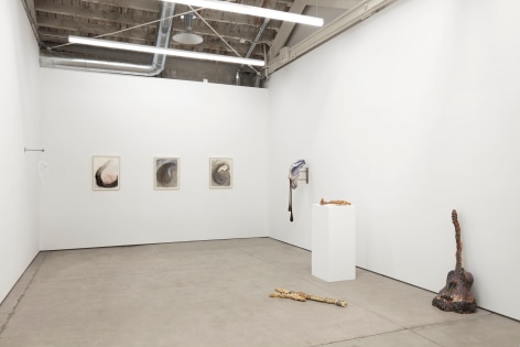 Material Conditions, 2020, Installation view