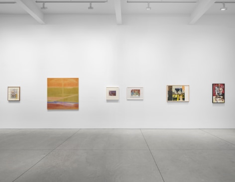 PROGRAM, Matthew Brown, New York, 2024. Installation view., (Photo: Tim Doyon)