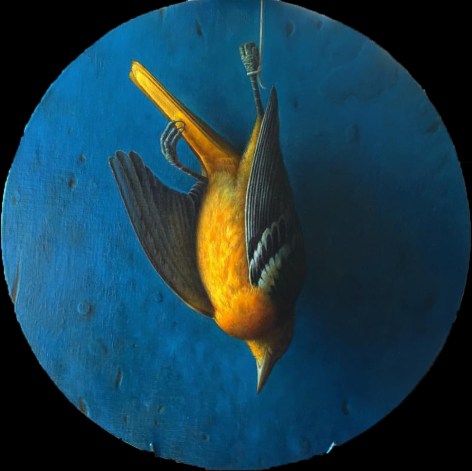 wade schuman, Bird, 2014-15, oil on linen on panel, 19 inches diameter
