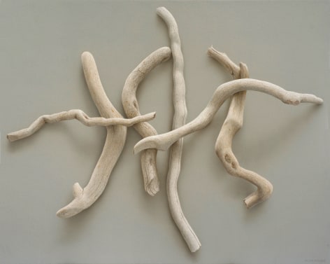 Alan Magee, Motet, 2019, acrylic on canvas, 46 x 58 inches