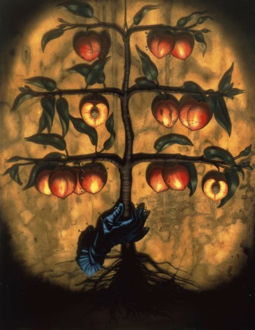 maria tomasula, Heritor, 1999, oil on linen, 48 x 36 inches