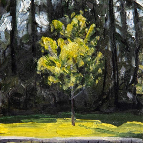 Alyssa Monks Morning Tree 1, 2023 oil on panel 4 x 4 inches