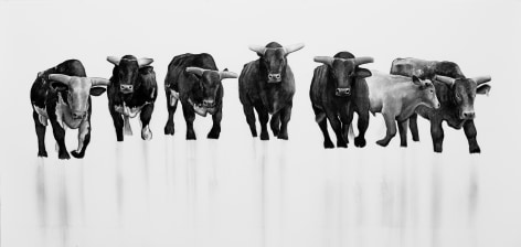 William Beckman, The Bull Series, #9 (SOLD), 2011-12, charcoal on paper, 59 x 123 inches