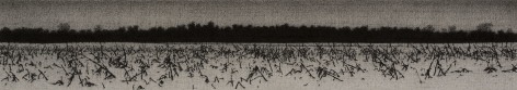 anthony mitri, Corn, Effect of Snow 2, Bundysburg, 2013, charcoal and pastel on paper, 3 7/16 x 19 3/8 inches