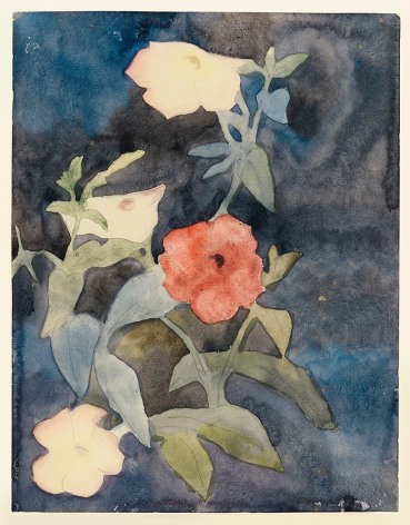 charles demuth, Flowers, c.1915 watercolor on paper 10 7/8 x 8 3/8 inches