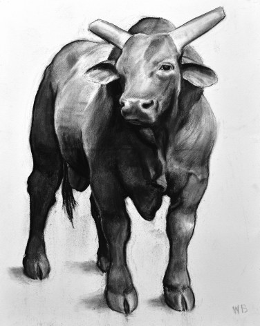 William Beckman Bull: Wyoming, 2018, charcoal on paper, 51 x 40 inches