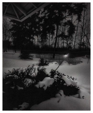 Nocturne: Winter Garden With Incidental Elements, 2023 charcoal on paper 15 1/2 x 12 5/8 inches