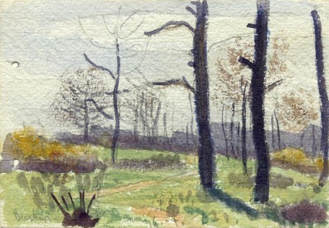 Oscar Bluemner, Busher, NJ, May 6, 04, 1904, watercolor on paper, 3 1/2 x 5 inches
