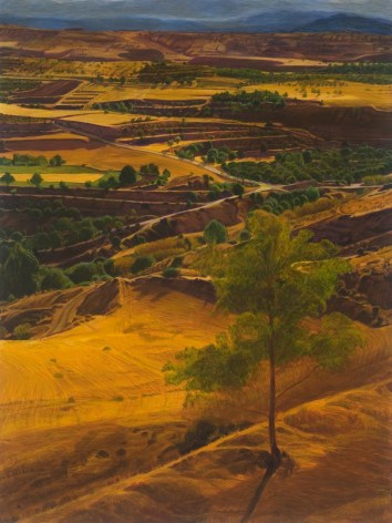 Peter Krausz, (No) Man's Land No. 9, 2008, secco on panel, 40 x 30 inches