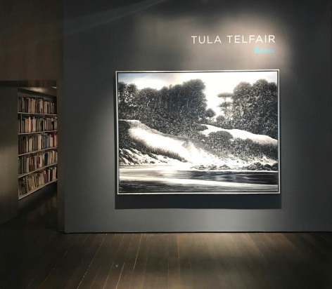 installation photo: Tula Telfair: Reverie, Forum Gallery, New York, NY, February 7 - March 30, 2019