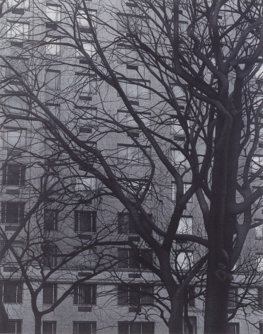 Anthony Mitri Central Park at Fifth Ave, NY, NY, 2006, charcoal on paper, 21 3/4 x 17 inches, Private Collection