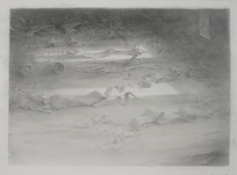 Archive, 2018, graphite on paper, 22 1/4 x 30 inches