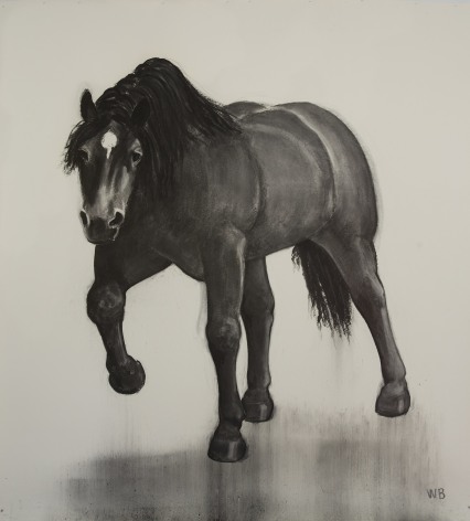 William Beckman, Charging Horse, 2017, charcoal on paper, 109 x 87 inches