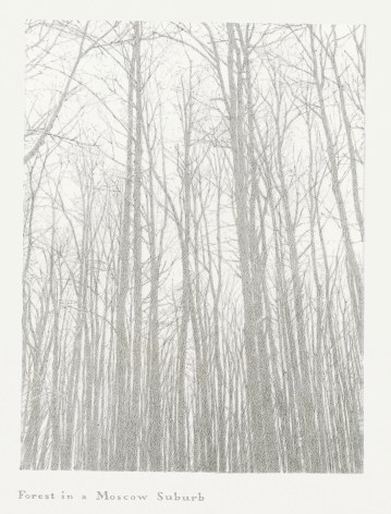 Oleg Vassiliev, Forest in a Moscow Suburb, 1996, graphite on paper, 15 x 11 inches