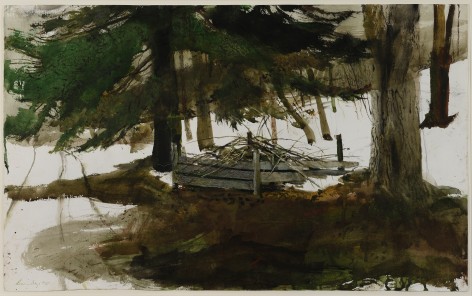 Andrew Wyeth, Pickup Sticks, 1994, watercolor and gouache over pencil on paper, 16 3/4 x 27 1/4 inches