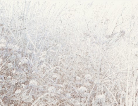 Oleg Vassiliev, Meadow with Flowers, 1998, graphite and colored pencil on paper, 15 x 11 inches