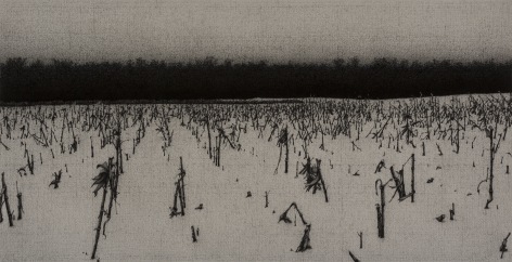 anthony mitri, Corn, Effect of Snow, Bundysburg, 2013, charcoal and pastel on paper, 10 x 19 3/8 inches