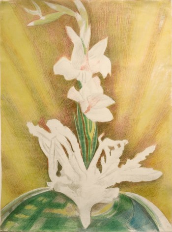 Joseph Stella, Gladiolas, c. 1935, colored pencils and pencil on paper, 25 x 18 1/2 inches, 37 1/2 x 30 1/2 inches (framed)