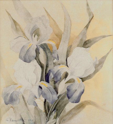 charles demuth, Iris, 1918 watercolor on paper 8 3/4 x 8 1/8 inches
