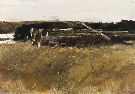Andrew Wyeth, Dock Pilings, 1962 watercolor on paper 13 3/4 x 19 inches