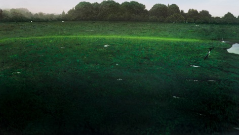 tula telfair, Disappearing into the Experience (SOLD), 2016, oil on canvas, 58 X 102 inches