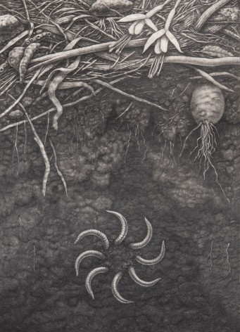 Maria Tomasula, Kin, 2019, graphite on Arches paper, 14 x 10 inches