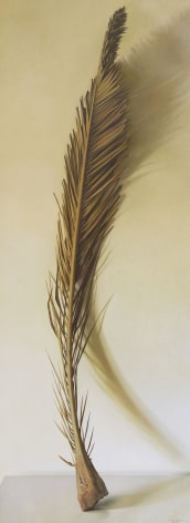 Claudio Bravo, Palmera / Palm Frond, 2008, oil on canvas, 78 1/2 x 29 3/8 inches