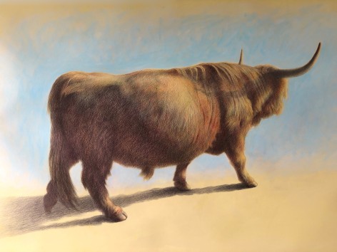 Wade Schuman, Bull, 2020, ballpoint pen and acrylic on prepared paper, 27 x 40 inches