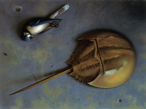 wade schuman, Horseshoe Crab, Bird and Fly, 2003, oil on linen laid down on board, 17 1/2 x 23 inches