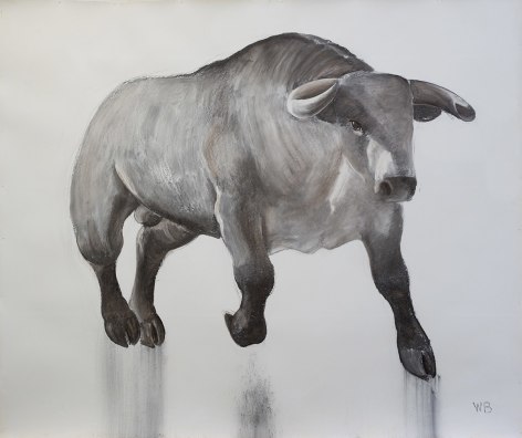 William Beckman, Charging Bull, 2017, charcoal on gessoed paper, 76 x 90 inches