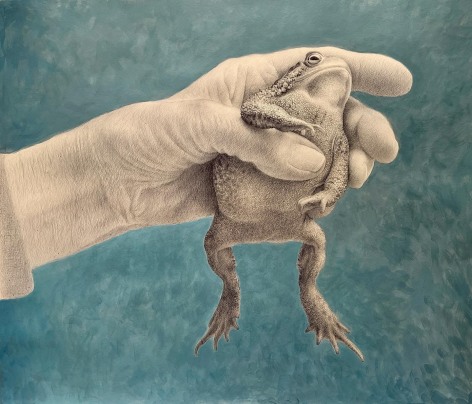 Wade Schuman Toad for Josephine, 2023 ballpoint pen and acrylic on prepared paper 28 x 32 inches (image) 30 1/4 x 37 1/8 inches (sheet)