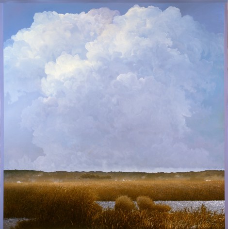 Tula Telfair, There Are Different Kinds of Truth (SOLD), 2008, oil on canvas, 60 x 60 inches