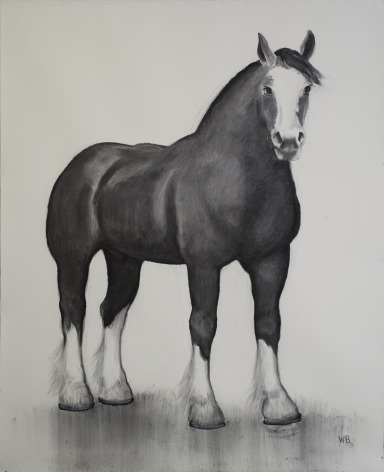 William Beckman, Clydesdale, 2016-17, charcoal on paper, 114 x 88 inches