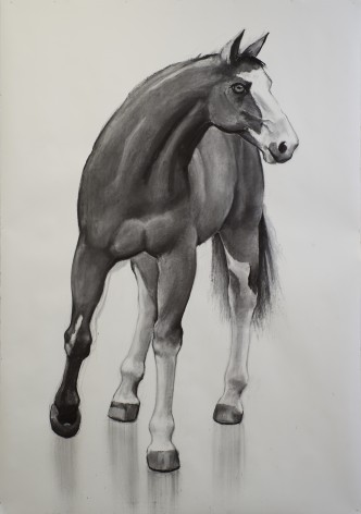 William Beckman, Mask Horse, 2017, charcoal on paper, 103 x 72 inches
