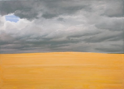 Dakota Wheat, 2014 pastel on paper, image: 24 x 32 1/4 inches, paper: 32 x 40 inches