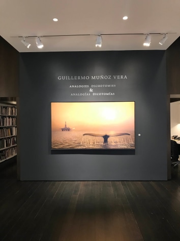 installation photo: Guillermo Munoz Vera, Analogies + Dichotomies, Forum Gallery, New York, NY, April 12 &ndash; May 25, 2018